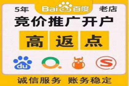 竞价策略揭秘：SEM竞价专员的三大成功案例